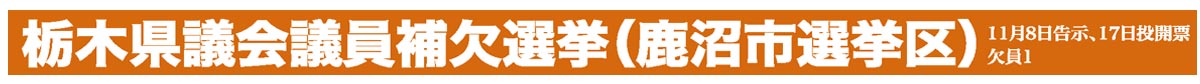 栃木県議会議員補欠選挙（鹿沼市選挙区）